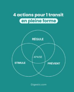 Digestic - Complément alimentaire pour le confort digestif 4 Digestic – Complément alimentaire pour le confort digestif