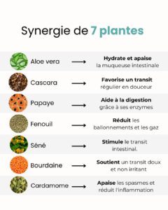 Digestic - Complément alimentaire pour le confort digestif 5 Digestic – Complément alimentaire pour le confort digestif
