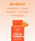 Owari Brûleur de Graisses Morosil 60 Gélules 03