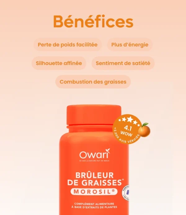 Owari Bruleur de Graisses Morosil 60 Gelules 03