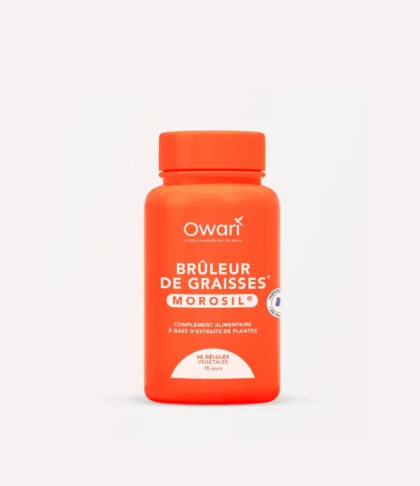 Owari Brûleur de Graisses Morosil 60 Gélules