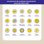 UMA Harmonie Daily Ménopause symptomes