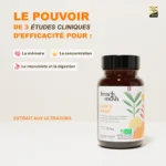 French Mush Lion's Mane Bio - 8000mg & Ultrasons - Gélules Mémoire & Focus 5 French Mush Lion’s Mane Bi