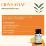 French Mush Lion's Mane Bio - 8000mg & Ultrasons - Gélules Mémoire & Focus 6 French Mush Lion’s Mane Bi